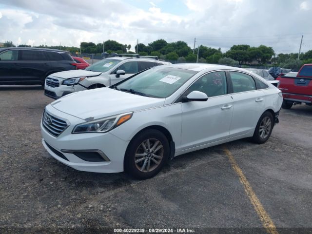 Photo 1 VIN: 5NPE24AF6HH499881 - HYUNDAI SONATA 