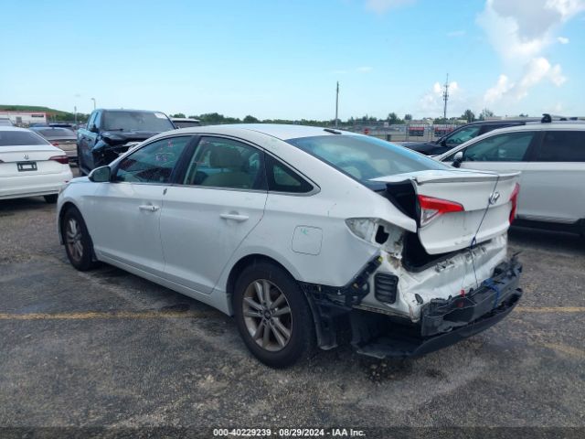 Photo 2 VIN: 5NPE24AF6HH499881 - HYUNDAI SONATA 