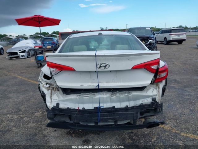 Photo 5 VIN: 5NPE24AF6HH499881 - HYUNDAI SONATA 