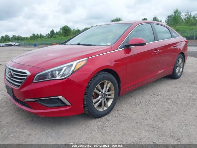 Photo 1 VIN: 5NPE24AF6HH512869 - HYUNDAI SONATA 