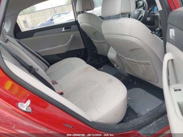 Photo 7 VIN: 5NPE24AF6HH512869 - HYUNDAI SONATA 