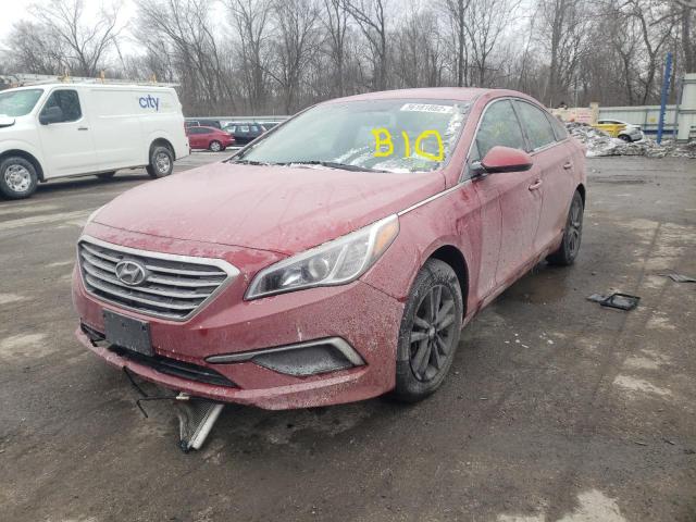 Photo 1 VIN: 5NPE24AF6HH528103 - HYUNDAI SONATA SE 