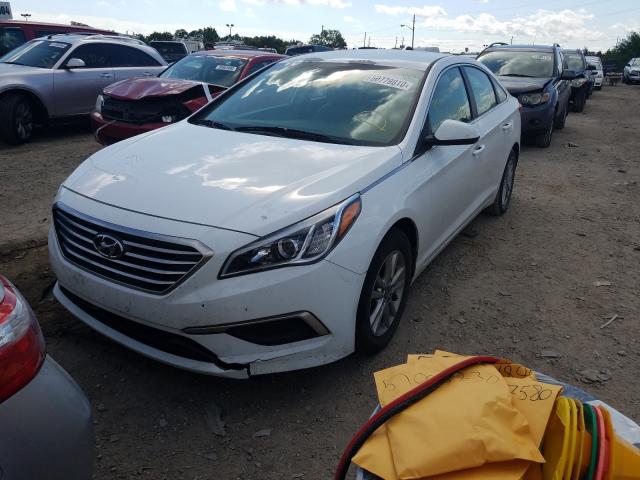 Photo 1 VIN: 5NPE24AF6HH529512 - HYUNDAI SONATA SE 