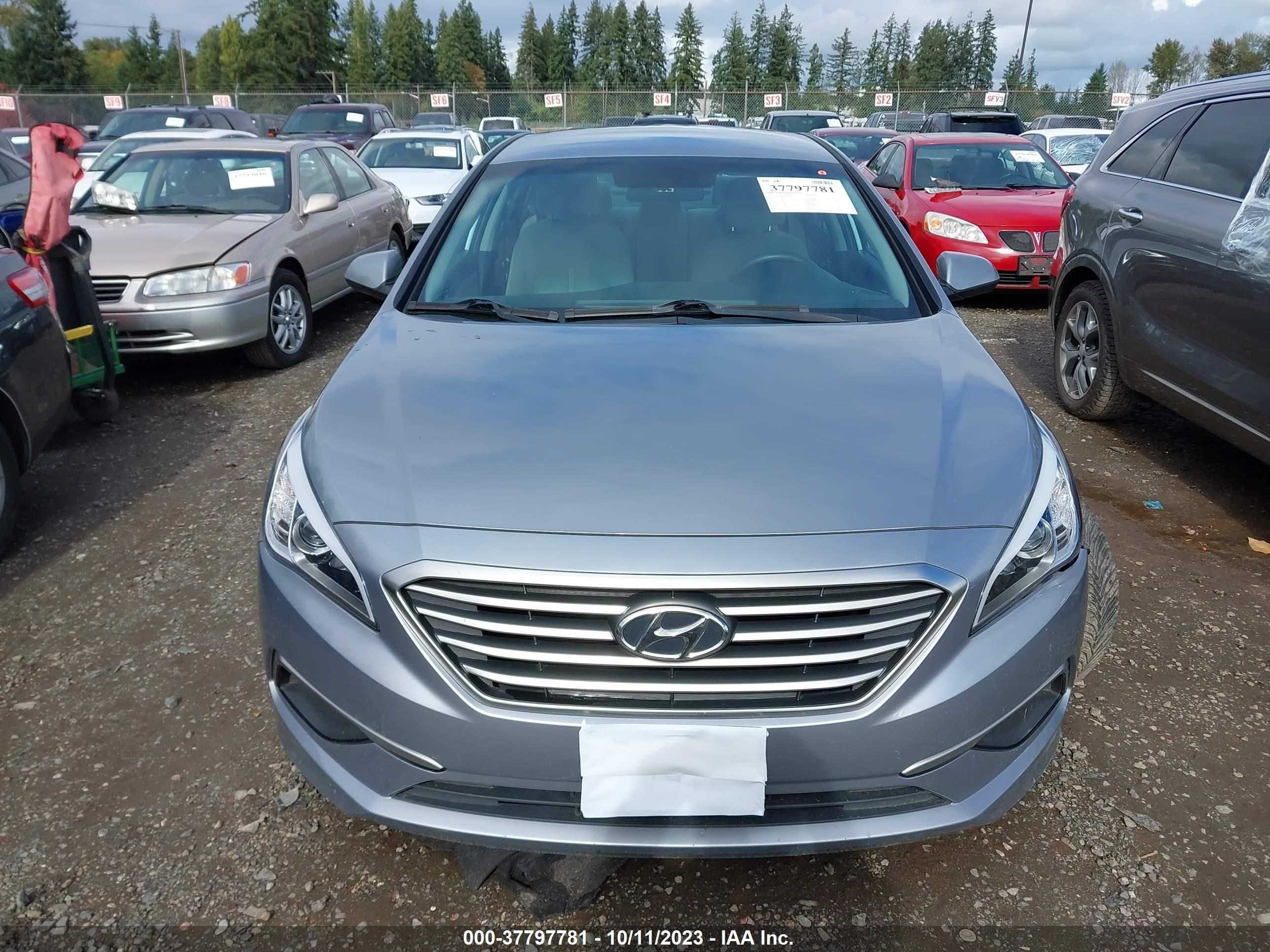 Photo 11 VIN: 5NPE24AF6HH539036 - HYUNDAI SONATA 