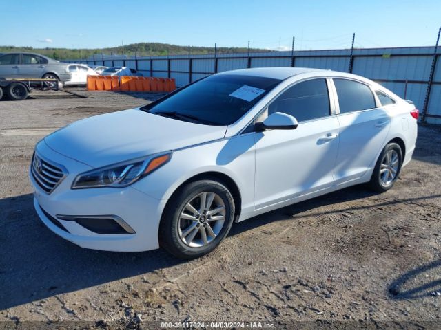 Photo 1 VIN: 5NPE24AF6HH543801 - HYUNDAI SONATA 