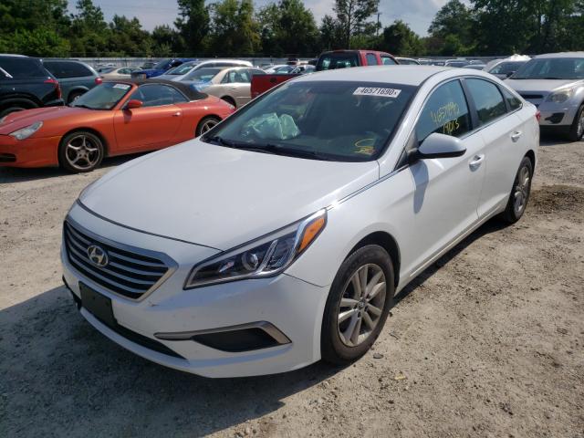 Photo 1 VIN: 5NPE24AF6HH547525 - HYUNDAI SONATA SE 