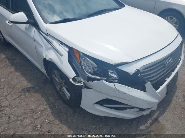 Photo 5 VIN: 5NPE24AF6HH578368 - HYUNDAI SONATA 