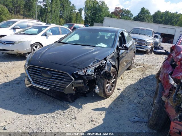 Photo 1 VIN: 5NPE24AF6JH597881 - HYUNDAI SONATA 