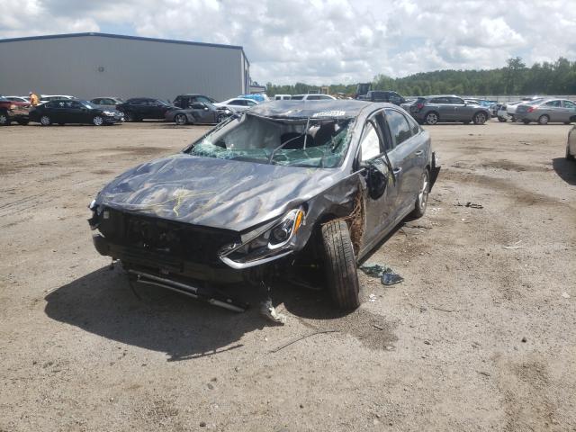 Photo 1 VIN: 5NPE24AF6JH663796 - HYUNDAI SONATA SE 