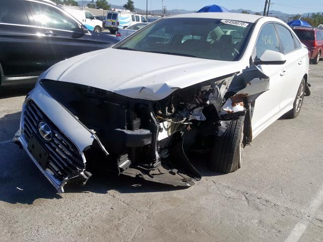 Photo 1 VIN: 5NPE24AF6JH699360 - HYUNDAI SONATA SE 