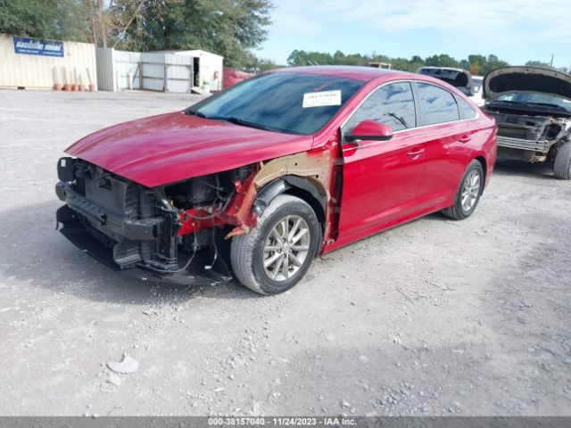 Photo 1 VIN: 5NPE24AF6JH716318 - HYUNDAI SONATA 