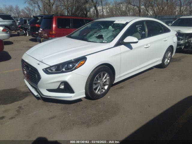 Photo 1 VIN: 5NPE24AF6JH726671 - HYUNDAI SONATA 