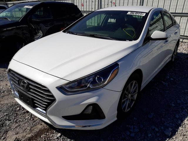 Photo 1 VIN: 5NPE24AF6KH759641 - HYUNDAI SONATA SE 