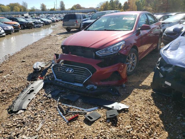 Photo 1 VIN: 5NPE24AF6KH767769 - HYUNDAI SONATA SE 