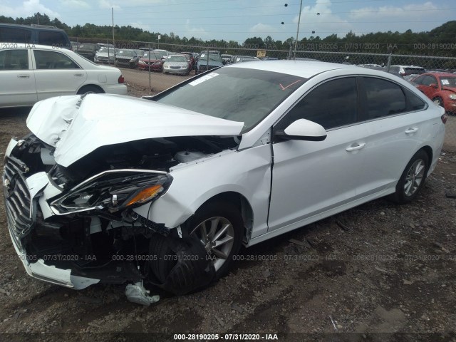 Photo 1 VIN: 5NPE24AF6KH776519 - HYUNDAI SONATA 