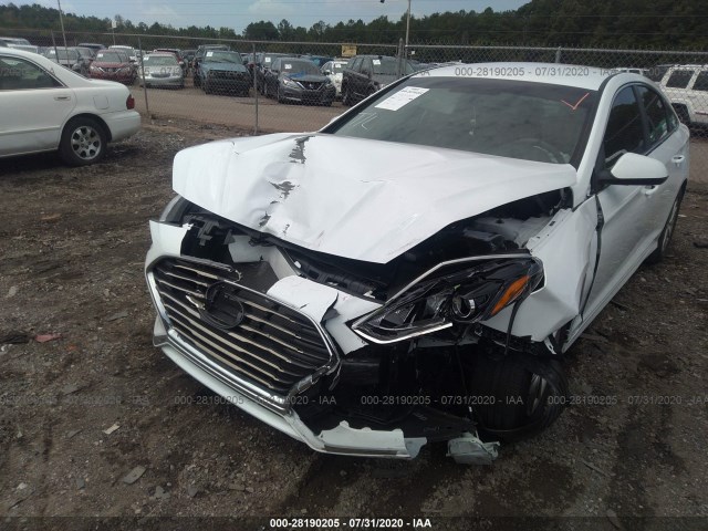 Photo 5 VIN: 5NPE24AF6KH776519 - HYUNDAI SONATA 