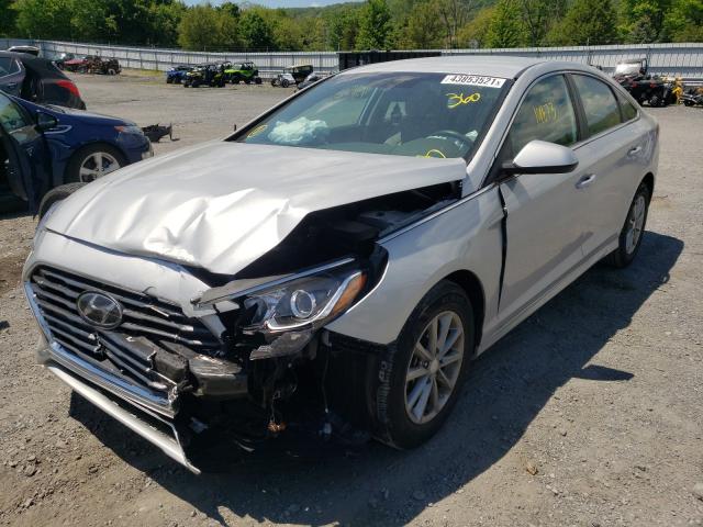 Photo 1 VIN: 5NPE24AF6KH784829 - HYUNDAI SONATA SE 