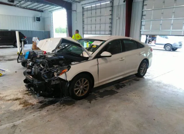 Photo 1 VIN: 5NPE24AF6KH785253 - HYUNDAI SONATA 