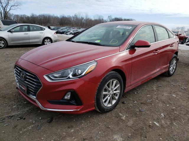 Photo 1 VIN: 5NPE24AF6KH800527 - HYUNDAI SONATA SE 