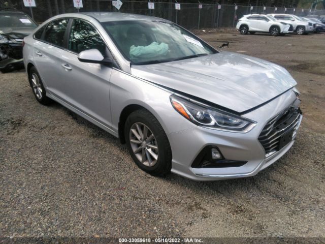 Photo 0 VIN: 5NPE24AF6KH800558 - HYUNDAI SONATA 