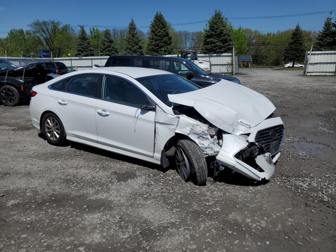 Photo 3 VIN: 5NPE24AF6KH803654 - HYUNDAI SONATA 