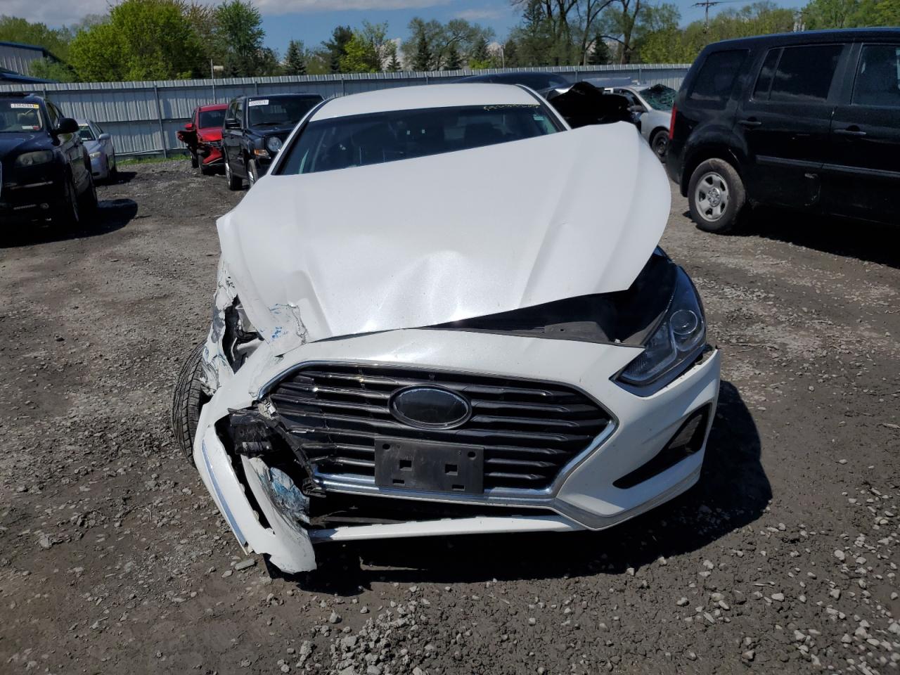 Photo 4 VIN: 5NPE24AF6KH803654 - HYUNDAI SONATA 