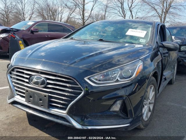 Photo 1 VIN: 5NPE24AF6KH811186 - HYUNDAI SONATA 