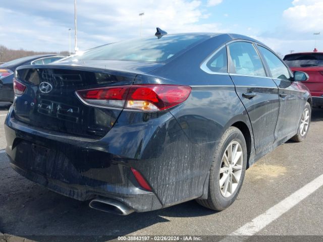 Photo 3 VIN: 5NPE24AF6KH811186 - HYUNDAI SONATA 