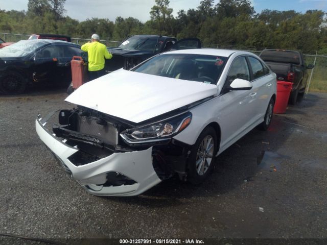 Photo 1 VIN: 5NPE24AF6KH819403 - HYUNDAI SONATA 