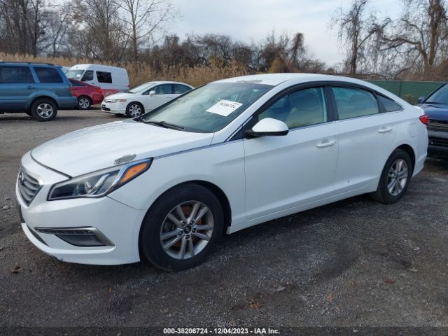 Photo 1 VIN: 5NPE24AF7FH014354 - HYUNDAI SONATA 