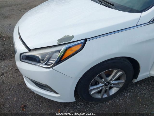 Photo 5 VIN: 5NPE24AF7FH014354 - HYUNDAI SONATA 