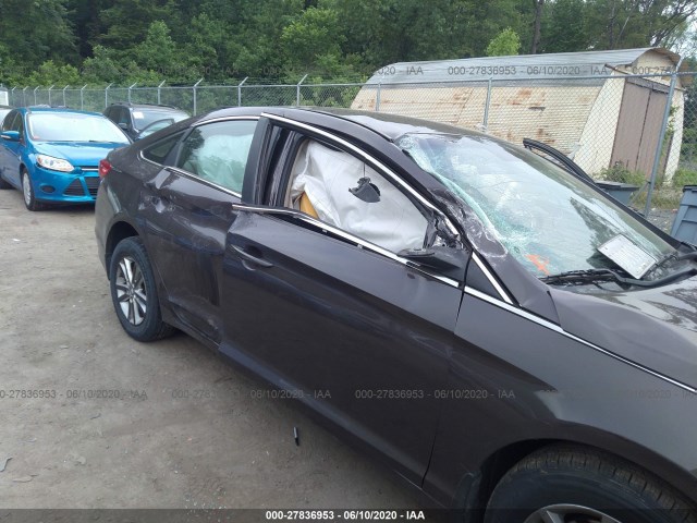 Photo 5 VIN: 5NPE24AF7FH138379 - HYUNDAI SONATA 