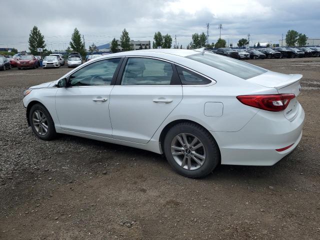 Photo 1 VIN: 5NPE24AF7FH138561 - HYUNDAI SONATA SE 