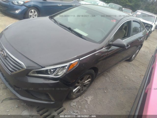 Photo 1 VIN: 5NPE24AF7FH145414 - HYUNDAI SONATA 