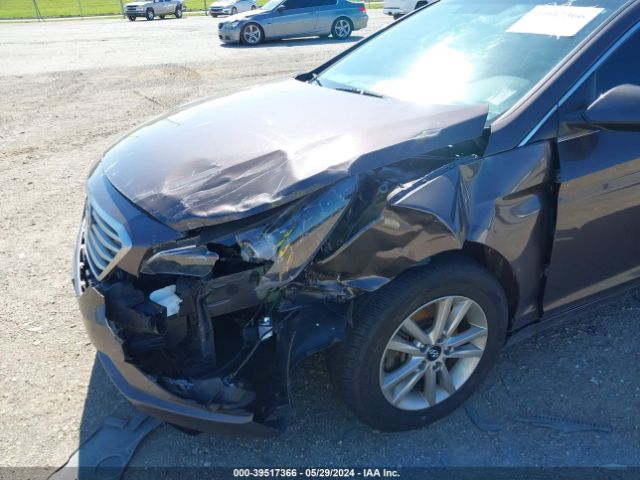 Photo 5 VIN: 5NPE24AF7FH183290 - HYUNDAI SONATA 