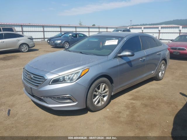 Photo 1 VIN: 5NPE24AF7FH187632 - HYUNDAI SONATA 