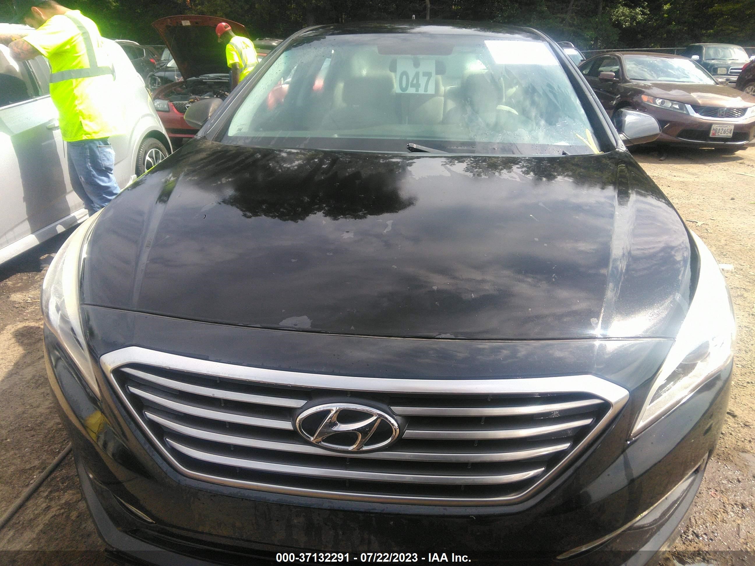 Photo 11 VIN: 5NPE24AF7FH223979 - HYUNDAI SONATA 