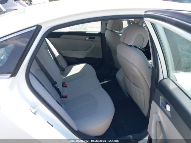 Photo 7 VIN: 5NPE24AF7FH250048 - HYUNDAI SONATA 