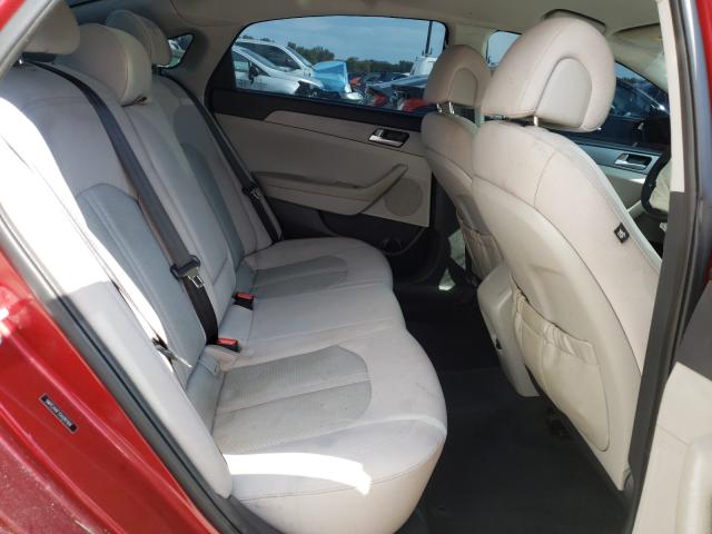 Photo 5 VIN: 5NPE24AF7GH281169 - HYUNDAI SONATA SE 