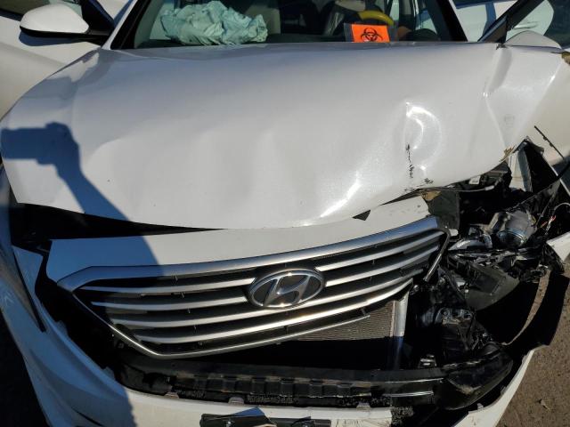 Photo 10 VIN: 5NPE24AF7GH296822 - HYUNDAI SONATA SE 