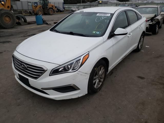 Photo 1 VIN: 5NPE24AF7GH317863 - HYUNDAI SONATA SE 