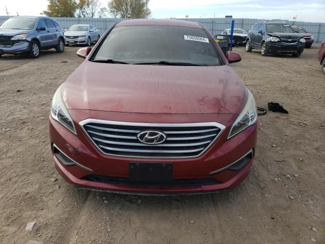 Photo 4 VIN: 5NPE24AF7GH318365 - HYUNDAI SONATA SE 