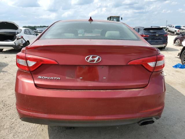 Photo 5 VIN: 5NPE24AF7GH333447 - HYUNDAI SONATA 