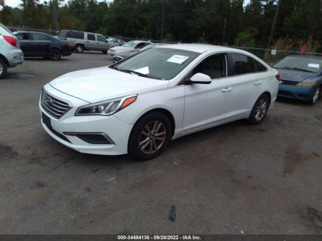 Photo 1 VIN: 5NPE24AF7GH333769 - HYUNDAI SONATA 