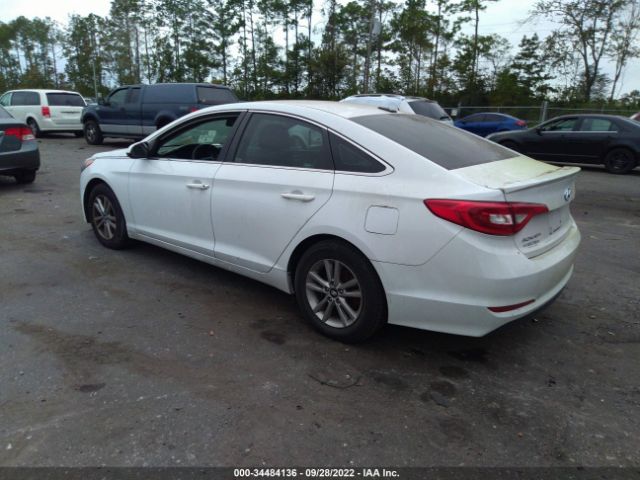 Photo 2 VIN: 5NPE24AF7GH333769 - HYUNDAI SONATA 