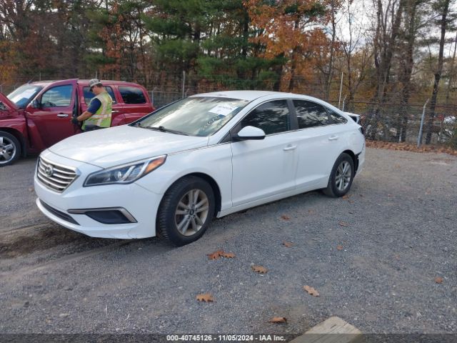 Photo 1 VIN: 5NPE24AF7GH338020 - HYUNDAI SONATA 