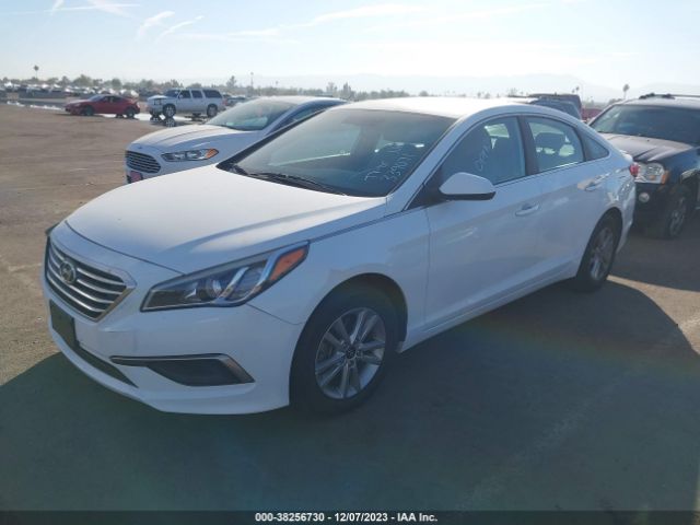 Photo 1 VIN: 5NPE24AF7GH339071 - HYUNDAI SONATA 