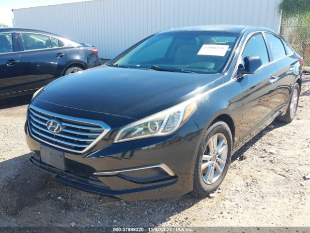 Photo 1 VIN: 5NPE24AF7GH350717 - HYUNDAI SONATA 