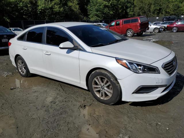 Photo 3 VIN: 5NPE24AF7GH350815 - HYUNDAI SONATA SE 