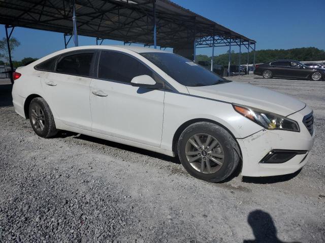 Photo 3 VIN: 5NPE24AF7GH355321 - HYUNDAI SONATA 